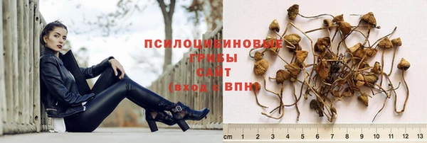 крисы Аркадак