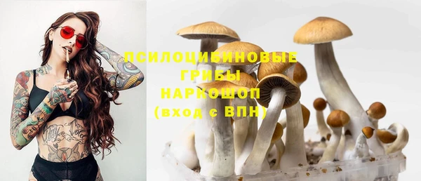 крисы Аркадак