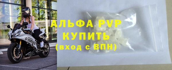 крисы Аркадак