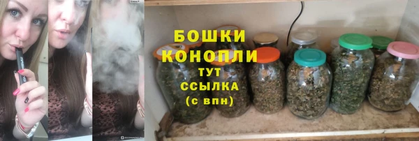 шишки Армянск