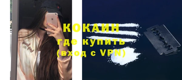 шишки Армянск