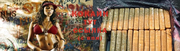 шишки Армянск