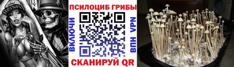 Галлюциногенные грибы мицелий купить закладку Онега