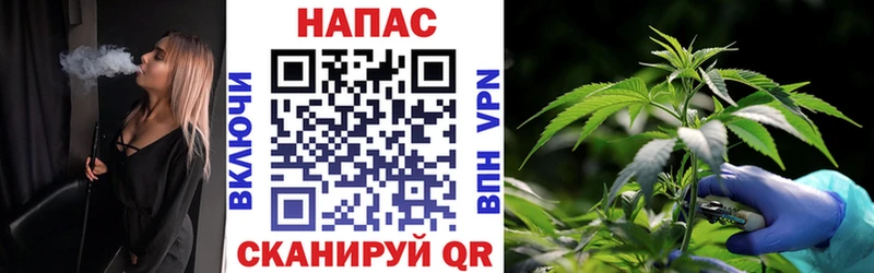 Конопля LSD WEED  Онега 